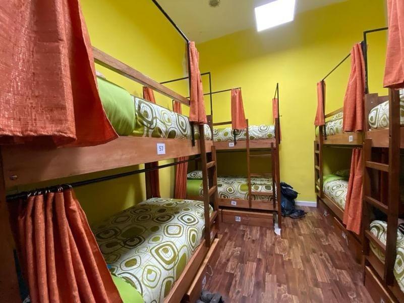 Saint Peter'S Llama Hostal La Paz Bagian luar foto