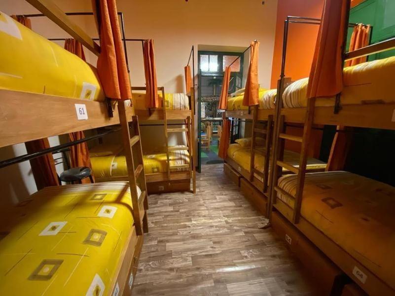 Saint Peter'S Llama Hostal La Paz Bagian luar foto