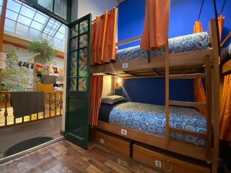 Saint Peter'S Llama Hostal La Paz Bagian luar foto