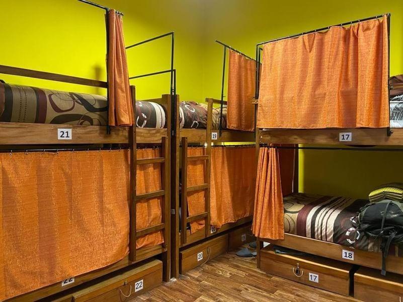 Saint Peter'S Llama Hostal La Paz Bagian luar foto