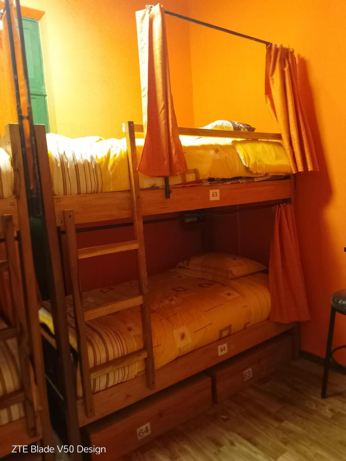 Saint Peter'S Llama Hostal La Paz Bagian luar foto