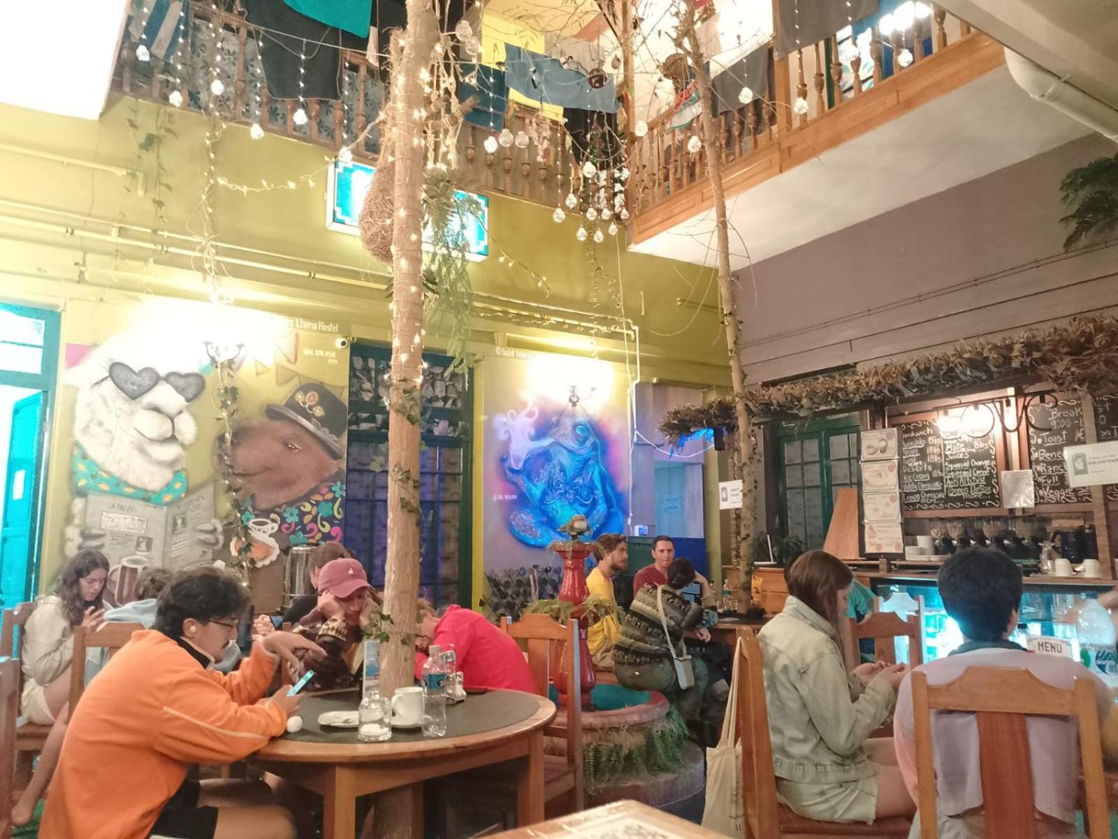 Saint Peter'S Llama Hostal La Paz Bagian luar foto
